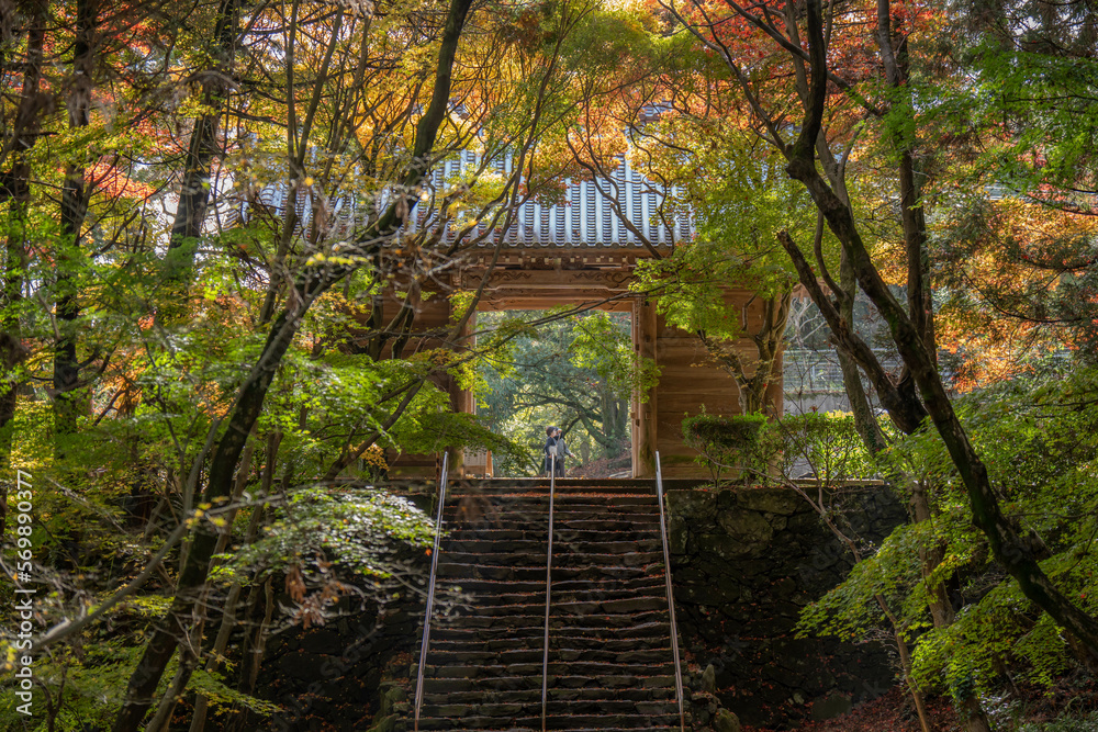 Naklejka premium 根香寺