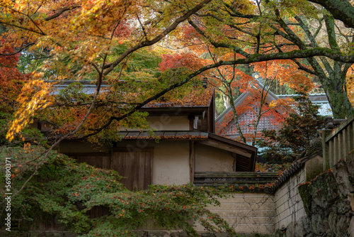 根香寺 photo