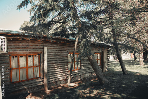 house in the woods