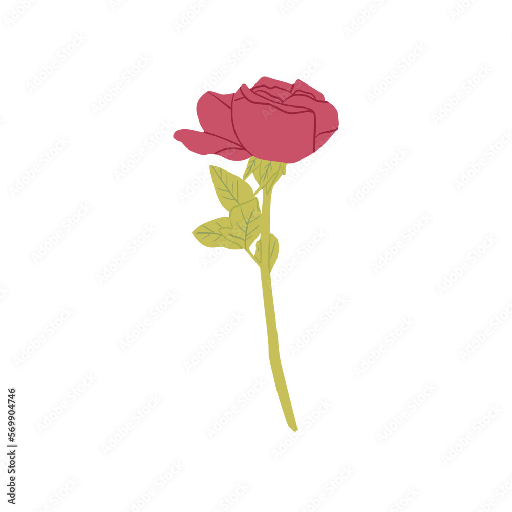 Obraz premium Vector branch of pink rose isolated on a white background.