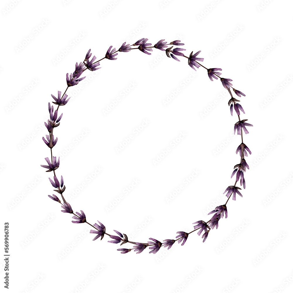 Watercolor lavender wreath thin round frame. Hand drawn floral circle design element isolated on white background. Watercolor lavender wreath thin round frame. Hand drawn floral circle design element isolated on white background.