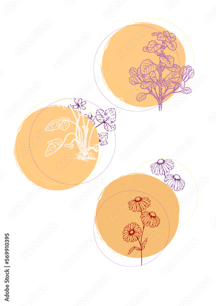 Pattern drawn plants Pattern drawn plants