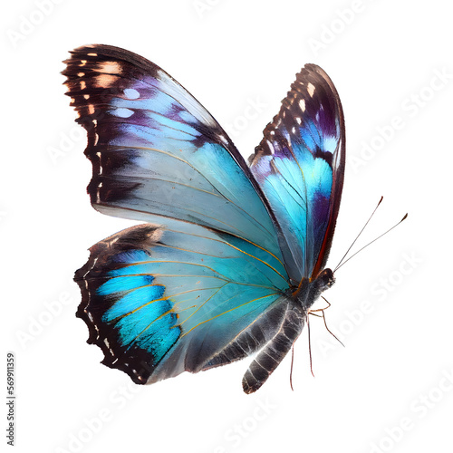 Beautiful blue butterfly in full body close-up portrait, flying with grace. Generative AI.