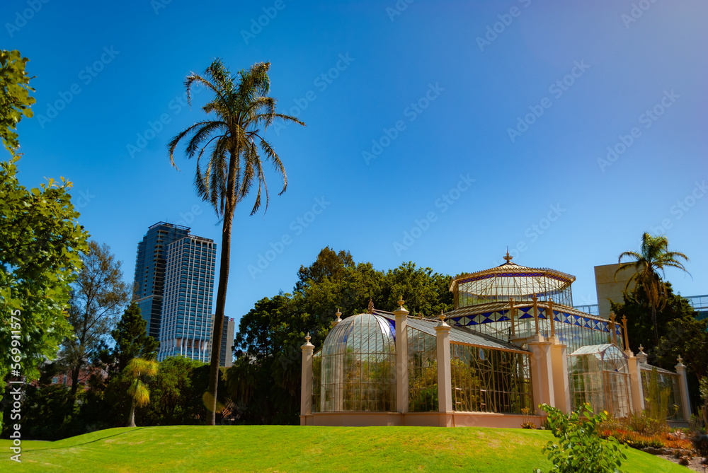 Fototapeta premium Australia