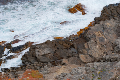 Voyage en Australie - kangaroo island - Australia
