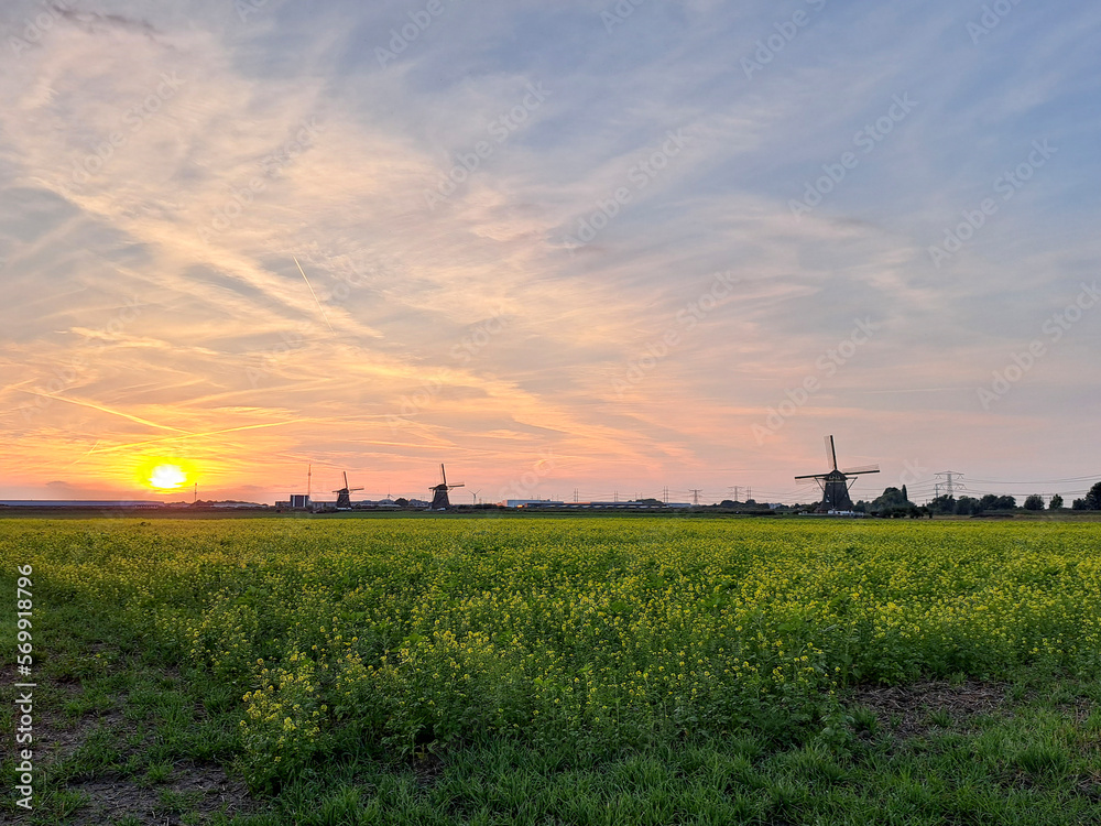 Obraz premium Sunset over the meadows of the Tweemanspolder in Zevenhuizen
