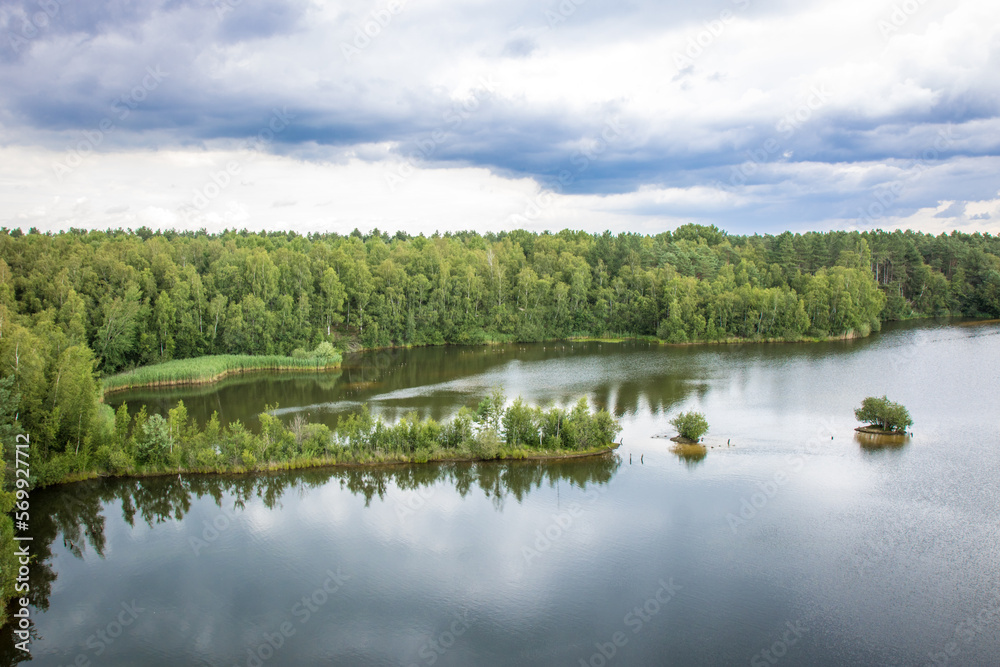 Fototapeta premium lake in the forest
