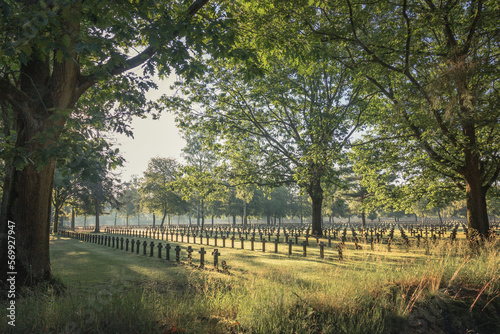 rows of stone crosses in a military world war 2 cemetery surrounded by trees