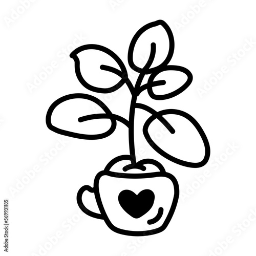 Decorative Houseplant 