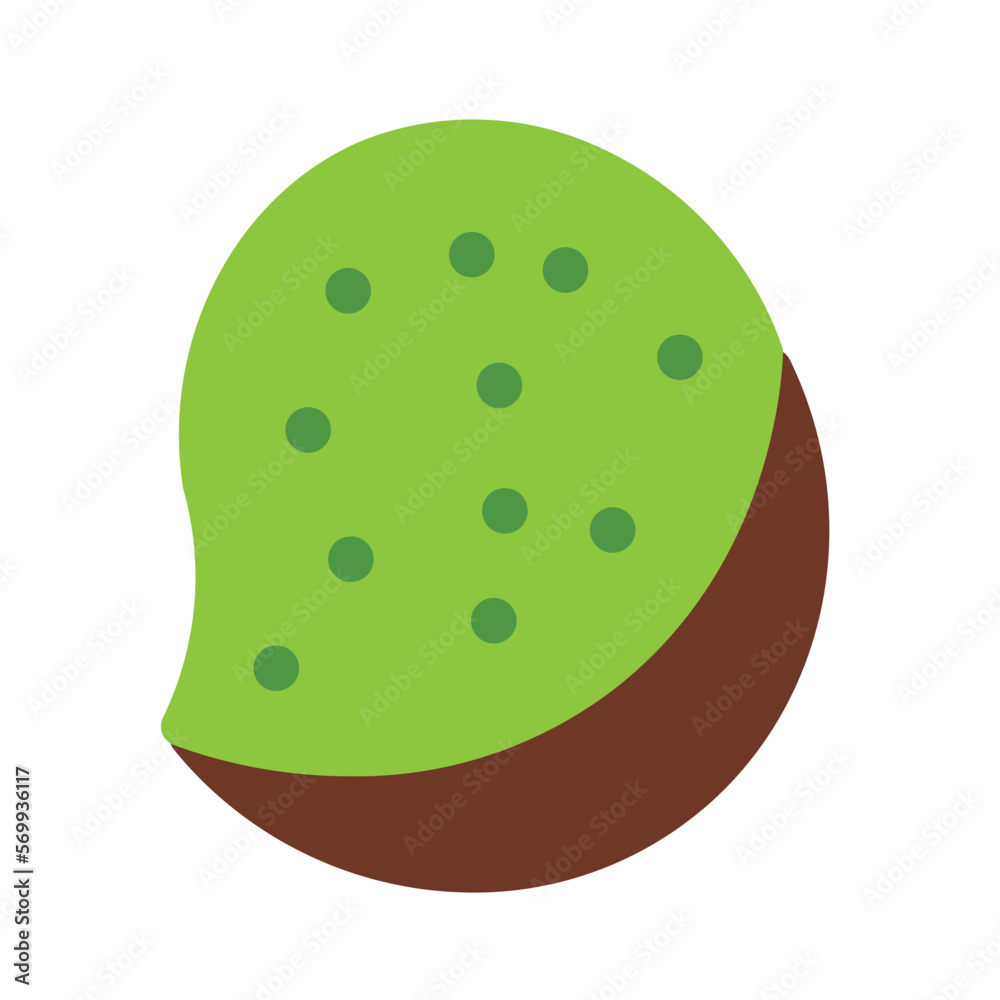 Kiwi Flat Icon Kiwi Flat Icon