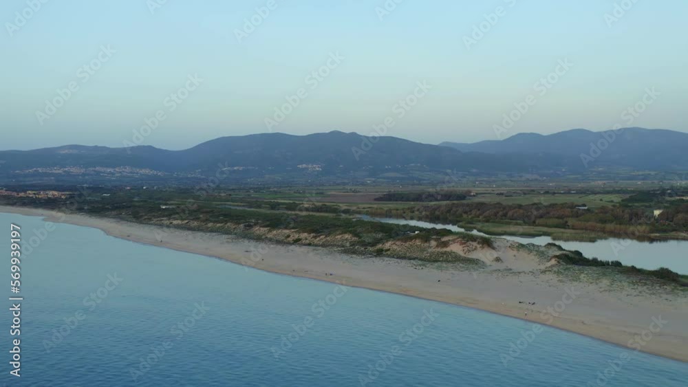 Amazing view of sandy beach with green vegetation near blue sea Amazing view of sandy beach with green vegetation near blue sea