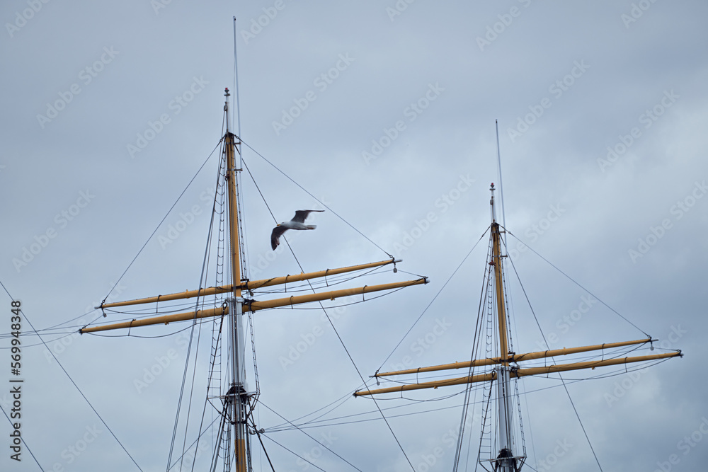 The masts of an old sailboat against the cloudy sky and a flying seagull. Glenlee, steel-hulled three-masted barque. The Tall Ship at Glasgow Harbour The masts of an old sailboat against the cloudy sky and a flying seagull. Glenlee, steel-hulled three-masted barque. The Tall Ship at Glasgow Harbour