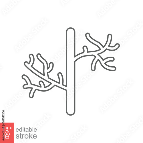 Human artery line icon. Outline style can be used for web, mobile, ui. Blood, vessel, artery, vascular, vein concept. Vector illustration isolated on white background. Editable stroke EPS 10.