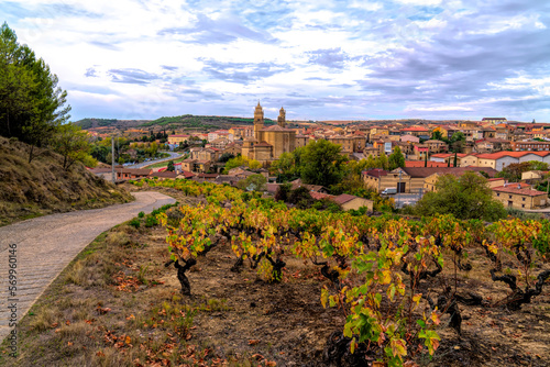 Elciego Spain view of vineyard and town in Alava Basque Country wine making region photo