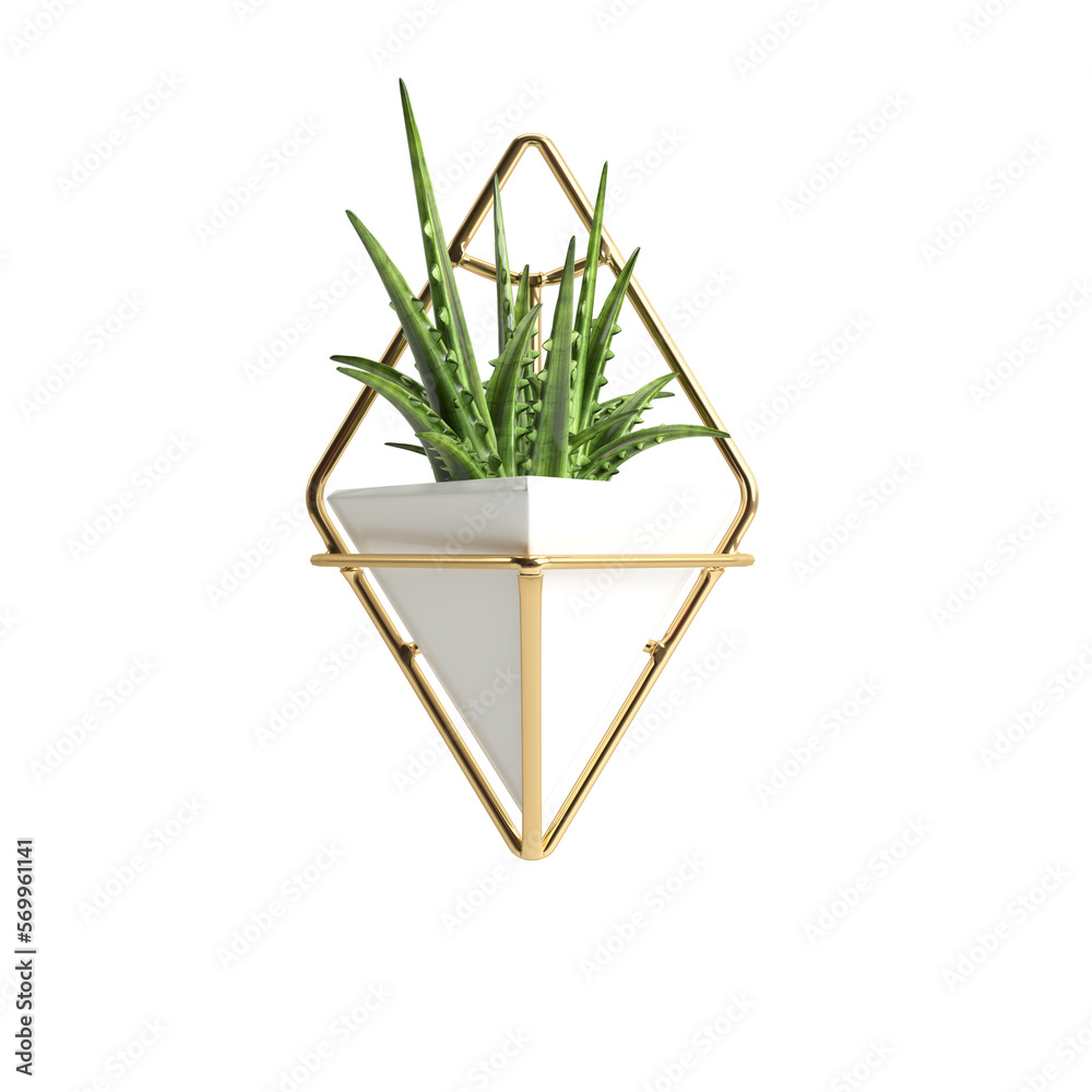 3d illustration of wall potted plant isolated on transparent