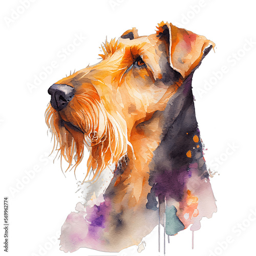 Airedale Terrier Watercolour Close Up Face Created with Generative AI