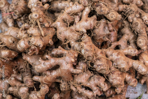 Top View Pile of Fresh Ginger for Sale in the Vegetables Market, Close-up Ginger, Food background. © yotrakbutda