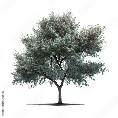 Cherry Blossom Tree Isolated. Illustration Generative AI
