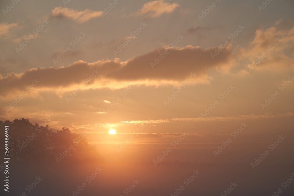 Tree branches at a foggy sunset. Sunset fog outdoors. Misty orange sunset scene. Tree branches at a foggy sunset. Sunset fog outdoors. Misty orange sunset scene.