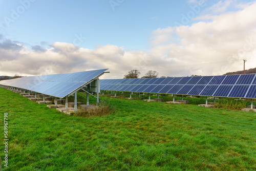 Solar Panels on a livestock farm providing clean sustainable energy and reducing emissions in agriculture photo