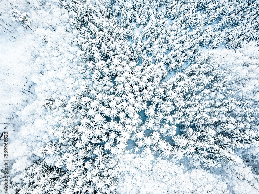 Fototapeta premium Wald im Winter klein von oben mit Schnee bedeckt Luftbildfotografie