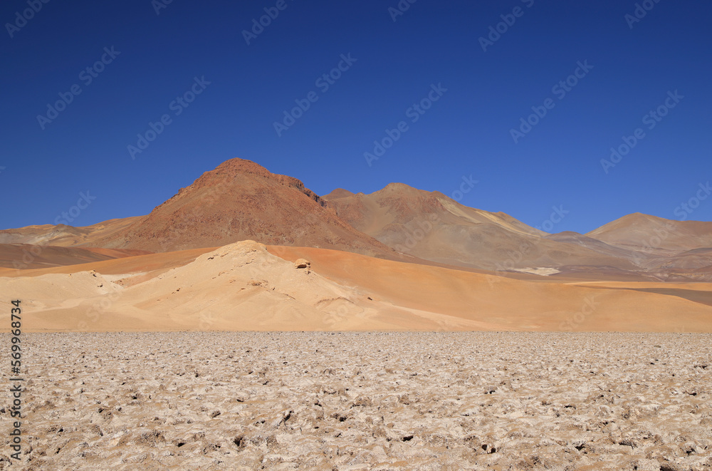 Naklejka premium Salar de Arizaro in the Puna Argentina