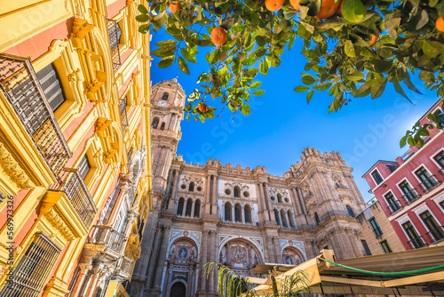 Malaga cathedral and square colofrul architecture street view photo
