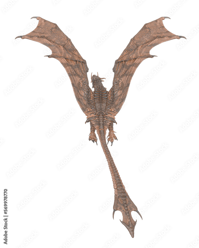 dragon is flying up on white background rear view