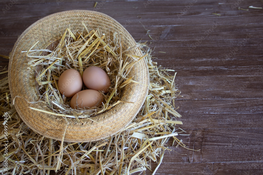 Image of a farmer hat with straw inside and three eggs. Collecting eggs on the farm.
Image of a farmer hat with straw inside and three eggs. Collecting eggs on the farm.