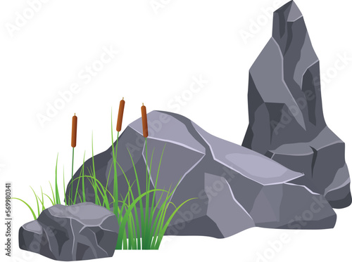 Swamp grass with stone. Natural rock landscape element