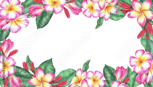 Watercolor botanical illustration. Rectangular frame with plumeria flowers. Frangipani. Isolated on a white background. Place for text or inscription. For the design of travel brochures, cosmetics