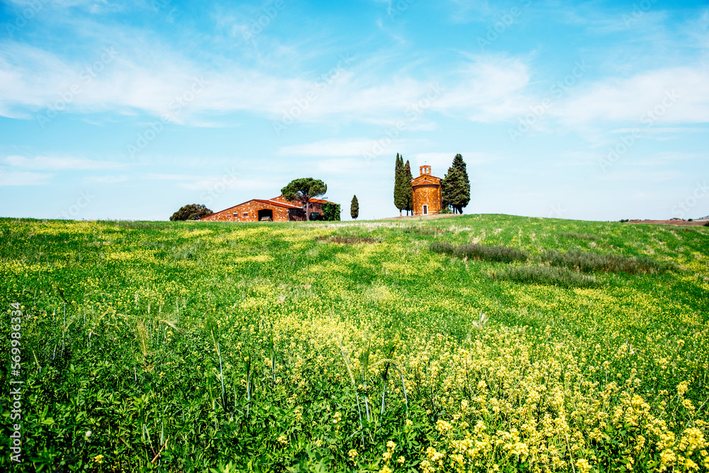 charming landscape with rape flowers and chapel of Madonna di Vitaleta in background on a sunny day in San Quirico d'Orcia (Val d'Orcia) in Tuscany, Italy. Excellent tourist places
