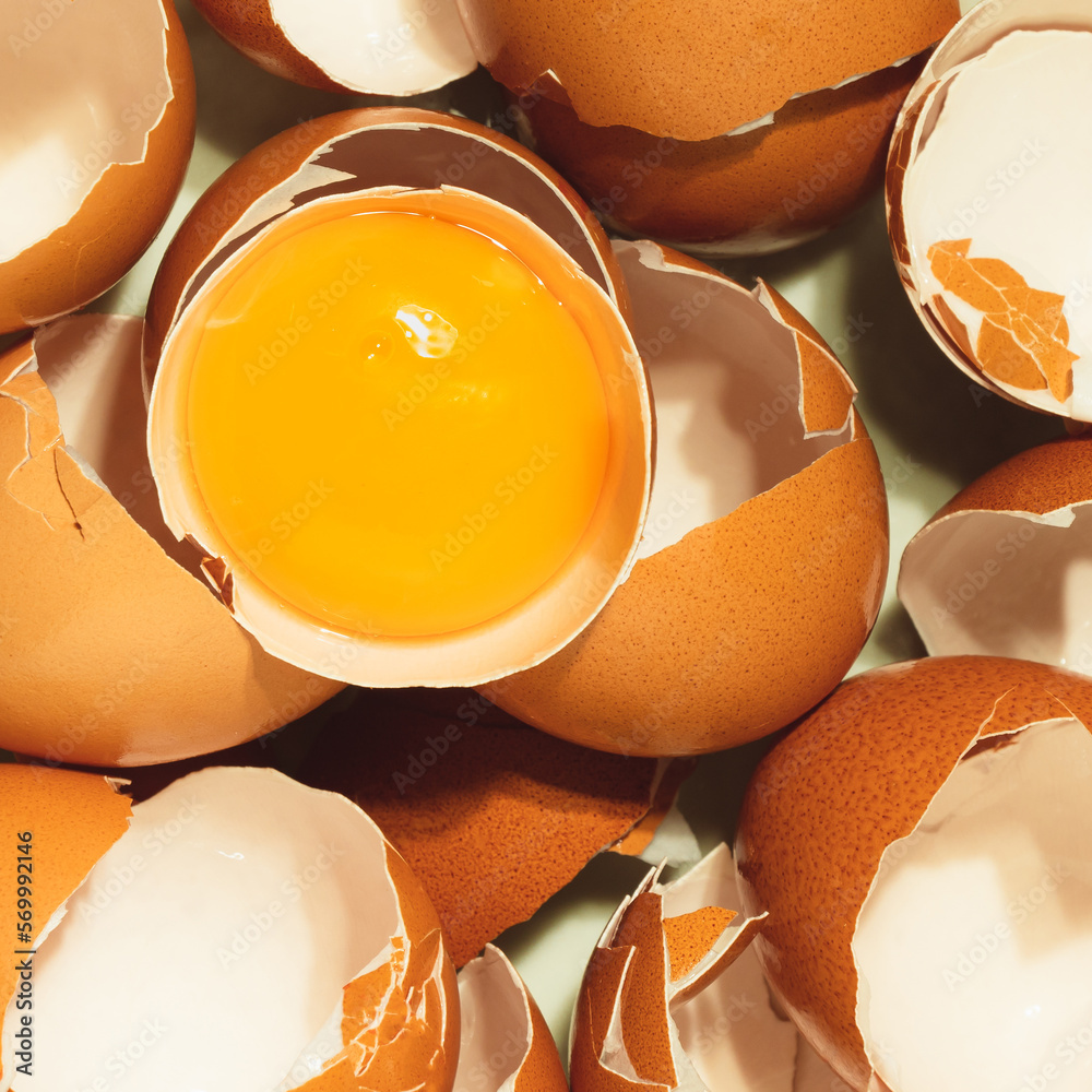 Uncooked yolk between broken eggs. top view photography. Chicken raw