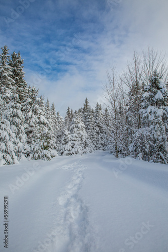 Canadian winter landscape.  Cold winter afternoon in Quebec, Canada.   Winter landscape. Snow.  © Lurin