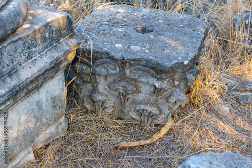 Sardis was the capital of the flourishing Lydian kingdom of the 7th century bce and was the first city where gold and silver coins were minted. From about 560 to about 546 Sardis was ruled by Croesus. photo