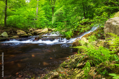 BachlaufHarz