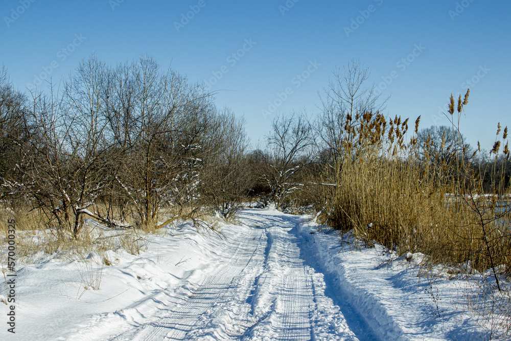 Road in the snow leading to the forest. Winter season Road in the snow leading to the forest. Winter season