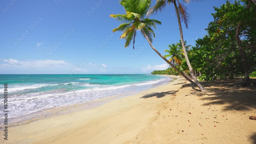 Beautiful view of Thailand beach with yellow sand and bright green palm trees. Turquoise sea and blue sky. Palm jungle - backdrop for relaxation. Summer holidays and outdoor adventures. Beautiful view of Thailand beach with yellow sand and bright green palm trees. Turquoise sea and blue sky. Palm jungle - backdrop for relaxation. Summer holidays and outdoor adventures.