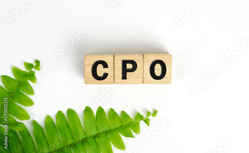 Text CPO on Wooden cube, Chief People Officer - corporate officer who oversees all aspects of human resource management and industrial relations policies, acronym text concept with marker.	 photo