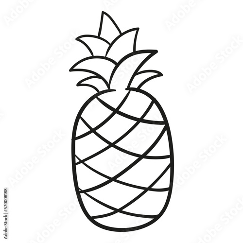 Pineapple. Hand drawn vector illustration.