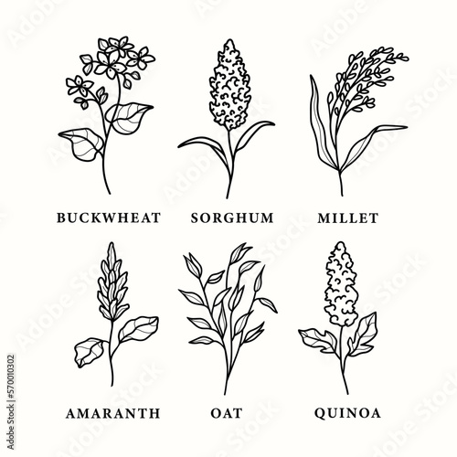 Set of line art grains and cereals