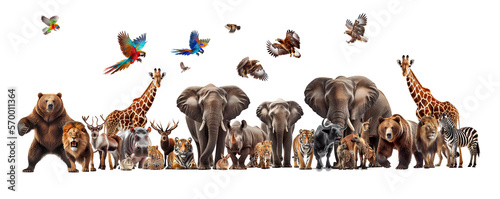 Wild animal collection on transparent background © STOCK PHOTO 4 U