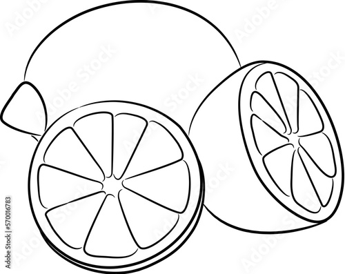 Lemons whole and cut, sketch draw from contour black brush lines different thickness on white background. Vector illustration.