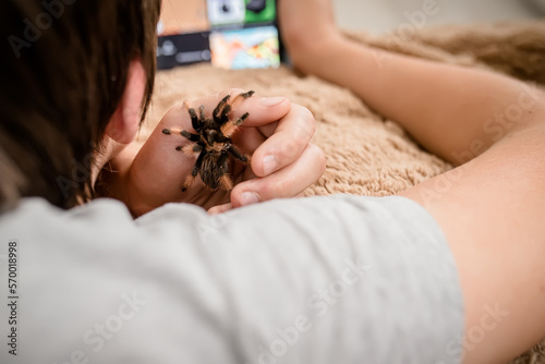 A tarantula spider in the hands of a child. Fearless Boy with a Scary Pet Watches Educational Videos on Tablet