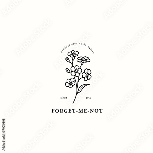 Line art forget-me-not flower drawing photo
