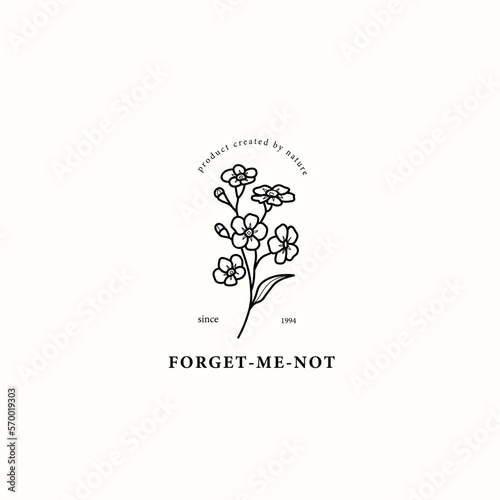 Line art forget-me-not flower drawing