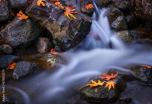 A stream photographed at a long exposure. Stones with autumn leaves.