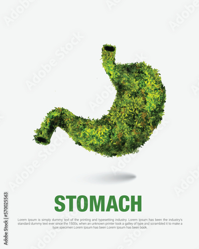 Green grass stomach vector illustration