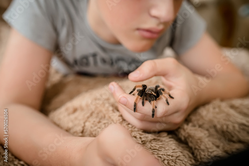 A small tarantula spider on his hand is with a guy who does tasks by watching lessons on a tablet.