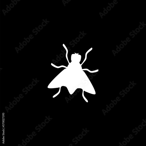 Hand drawn flies. Insect with wing, biology and sketch icon isolated on black background. 